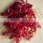 With PET stars 6mm*80cm Red Metallic curly bow for christmas decoration