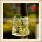 hanging glass flower water vase glass terrariums wholesale
