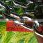 din link chain/twisted link chain /welded link chain