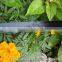Drip tape making machine / agricultural labyrinth type drip irrigation tape                        
                                                                                Supplier's Choice