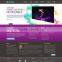 web development company