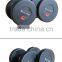 Exercise equipment fitness gym weight training Deluxe Dumbbell