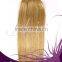 100% Remy Indian Human Hair