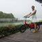 wholesale 20 inch electric bicycle 36V200W Lithium Battery folding ebike