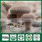 Shiitake Mushroom Compost,Cancer Cure Mushroom,Frozen Shiitake