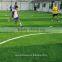 Tencate Thiolon Artificial Soccer Court Grass