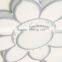 2016 Iron LED Ceiling Light Lotus Shaped Acrylic LED Ceiling Lamps