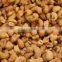 Vietnam cashew kernels W320 (whatsapp: +84 936 172 627)