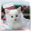 Happy birthday cards with animal designs