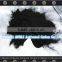 Coal Based Activated Carbon Powder for Sale