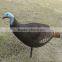 Supply XPE Foam Reallike Turkey Decoy for Hunting Guangdong China
