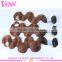 2015 Wholesale 6A Grade 100% Unprocessed Ombre Color Virgin Malaysian Body Wave Nina Hair