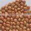Groundnuts