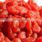 Wholesale Delicious Dried Strawberry