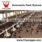 YONGGAO Professional chicken automatic feeder poultry farm waterers automatic feeding system