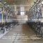 500 Cows Automatic Milking System For Dairy Farm