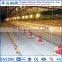 Low Price Space Frame Steel Structure Design Poultry Farm Shed