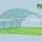 Tunnel Greenhouse film cover low cost agricultural farm Steel Frame comercial green house single span