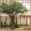 OEM GRC trunk banyan tree manufacturer