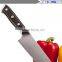 Japanese Damascus 8" Chef's Knife VG10 Razor Sharp 67 Layers High Carbon Steel with Triple Riveted Handle