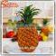 wholesale hight quality fake fruit artificial fruit for decoration