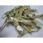 DRIED ANCHOVY WITH HIGH QUALITY