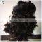 Ladies Fancy Dress Fabulous Black Devil Halloween Party Wigs HPC-0079