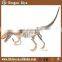 Museum T-rex Dinosaur Fossil Replicas
