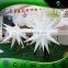 Stage Inflatable Star Lighting / LED Lighting Inflatabel Star Balloon Decoration