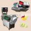 Taizy multifunctional vegetable cutting machine / vegetable chipper machine / vegetable chopper machine