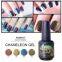 RONIKI Chameleon Gel,Nail Art Gel