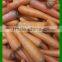 Hot Sale Fresh Bulk Carrot Price Per Ton 2016