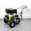BISON(CHINA) BS-D250 New Design Professional 250Bar Portable Water High Pressure Cleaner For Sale