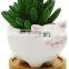 Top Fashion Flower Pot Decor Modern Indoor Terracotta Color Animal Succulent Small Planter Pot