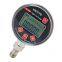 1/4Npt Thread Customizable Logo Industrial Precision Digital Pressure Meter Pressure Test Gauge