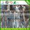 C folded t-shirt bags on roll / vest shopping bags / stripe bag manufacturing