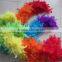 Rainbow Sectioned Turkey Feather Boa
