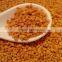 Cell-wall broken pollen tea/ tea bee pollen/tea flower pollen