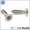 Custom Steel Anti-theft Security Screw