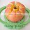 Red Apple Slicer Green Slicer Blue Slicer