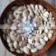 High Quality Wholesale Shine Skin Pumpkin Seeds