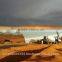 Agriculture Farming, Drip Irrigation and Hydroponic Systems
