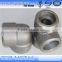High Potency Forged Socket Weld Pipe Fittings