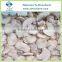 Frozen Champignon Mushroom Whole and Slices