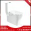 The whole network lowest toilet without cistern or wall mounted toilet