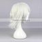 Tokyo Anime wig long white curly wig for man N419