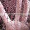 pure nylon multifilament fishing net,fishing net,fish net