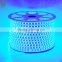 Blue LED SMD Flexible LED Strip Light