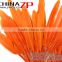 CHINAZP High Quality Plumes Orange Duck Cochettes Loose Feathers for Sale