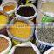 food pulse/daal pigeon pea,moong daal,lentils,urad,queen pules, fresh pulses agriculture in india